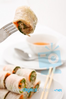 Vegetable Rolls In Vietnamese Style Stock Photo