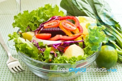 Vegetable Salad Stock Photo