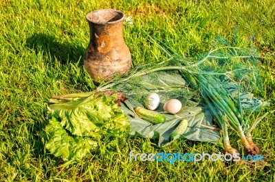 Vegetables And Eggs On Green Grass Stock Photo