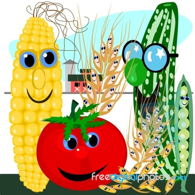 Vegetables And Grains On The Farm Stock Image Vegetables And Grains On The Farm Stock Image