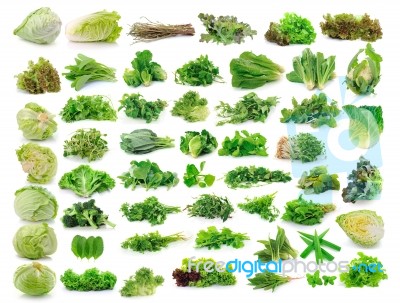 Vegetables Collection Isolated On White Background Stock Photo