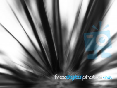 Vertical Black And White Motion Blur Blast Abstraction Backdrop Stock Photo
