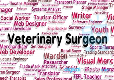 Veterinary Surgeon Indicates General Practitioner And Career Stock Image