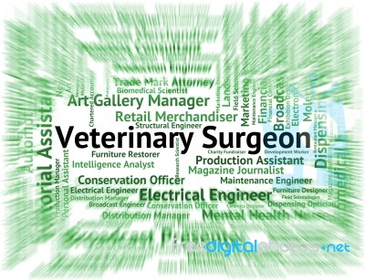 Veterinary Surgeon Showing General Practitioner And Surgeons Stock Image