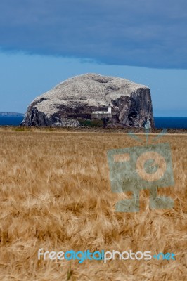 View Of Bass Rock In Firth Of Forth Stock Photo