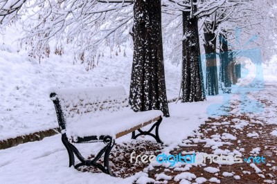 View Of Bench And Trees With Falling Snow Stock Photo