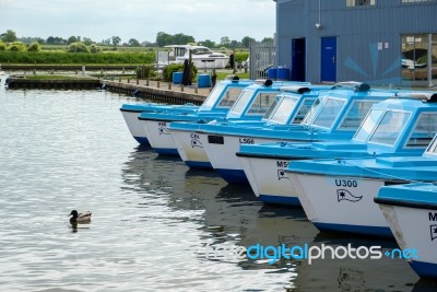 View Of Blue Boats For Hire At Potter Heigham Stock Photo