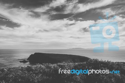 View Of Bruny Island Beach During The Day Stock Photo