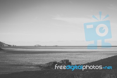 View Of Bruny Island Beach During The Day Stock Photo