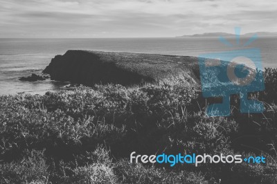 View Of Bruny Island Beach During The Day Stock Photo