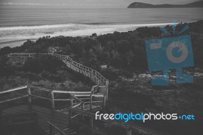 View Of Bruny Island Beach During The Day Stock Photo