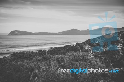 View Of Bruny Island Beach During The Day Stock Photo