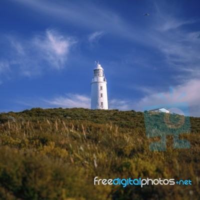 View Of Bruny Island Lighthouse Stock Photo