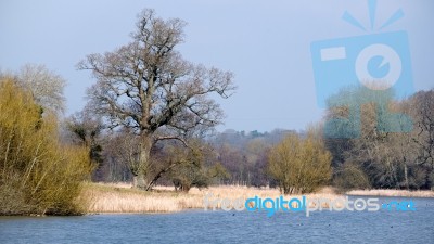 View Of Kneppmill Lake On A Sunny Spring Day Stock Photo