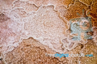 View Of Mammoth Hot Springs Stock Photo