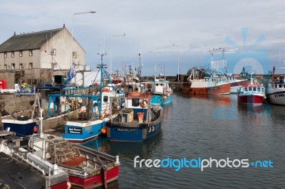View Of Pittenweem Harbour In Fife Stock Photo