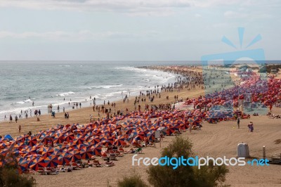 View Of The Beach From Playa Del Ingles To Maspalomas Gran Canar… Stock Photo