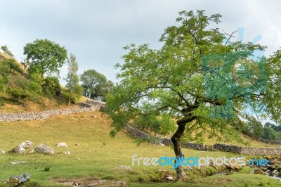 View Of The Countryside Around Malham Cove In The Yorkshire Dale… Stock Photo