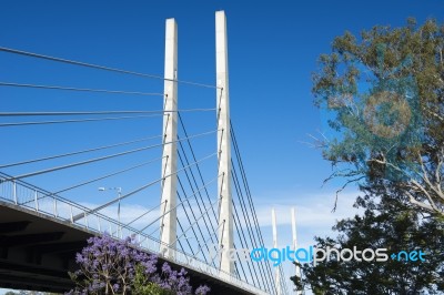 View Of The Eleanor Schonell Bridge Stock Photo