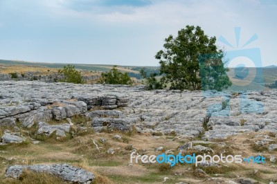 View Of The Limestone Pavement Above Malham Cove In The Yorkshir… Stock Photo