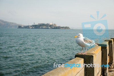 View On Alcatraz Island Stock Photo