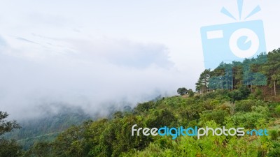 Viewpoint Doi Ang Khang Mountains In Chiang Mai Province Of Thai… Stock Photo