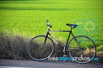 Vintage Bicycle With Rural Field Background Stock Photo