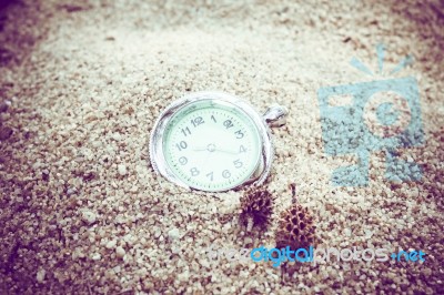 Vintage Pocket Watch On Sand With Pine Nuts Stock Photo