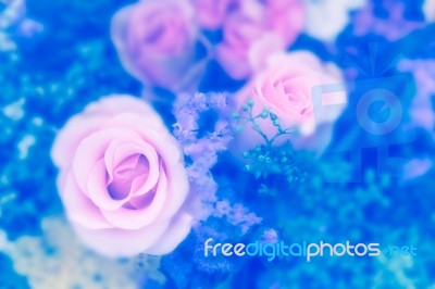 Vintage Rose Flower Bouquet Soft Background Stock Photo