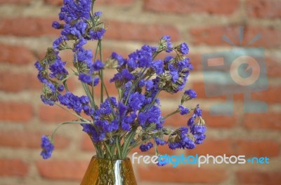 Violet Flower Stock Photo