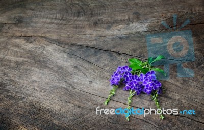 Violets And Purple Flowers On Old Wooden Table Stock Photo