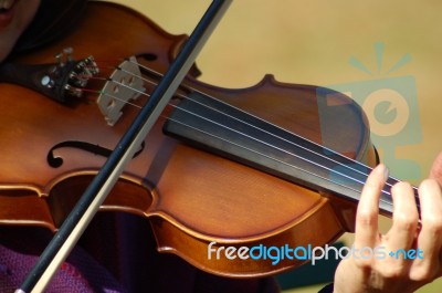 Violin Stock Photo