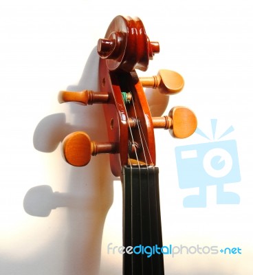 Violin Head  Stock Photo