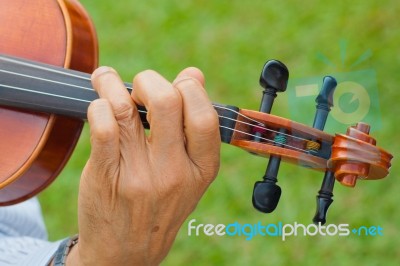 Violinist Playing Violin Stock Photo
