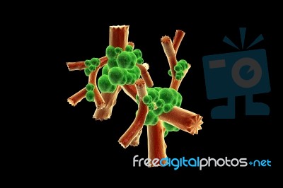 Virus Stock Image