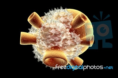 Virus Stock Image