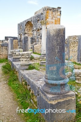 Volubilis In Morocco Africa The Site Stock Photo