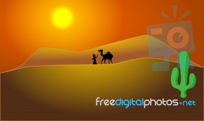 Wanderer Lead Camel Across The Desert Stock Image