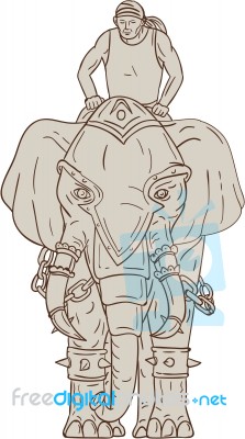 War Elephant Mahout Rider Drawing Stock Image