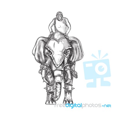 War Elephant Mahout Rider Tattoo Stock Image