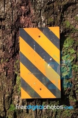 Warning Plate On Bark Beside Road Stock Photo