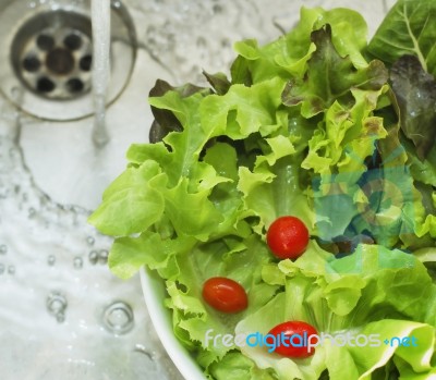 Wash Salad Stock Photo