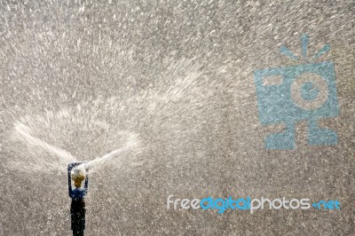 Water From Sprinkler Stock Photo