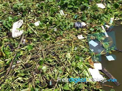 Water Pollution Stock Photo