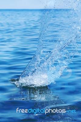 Water Splash Drops Stock Image