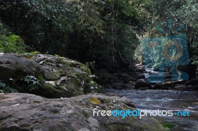 Water Stream / Brook Stock Photo