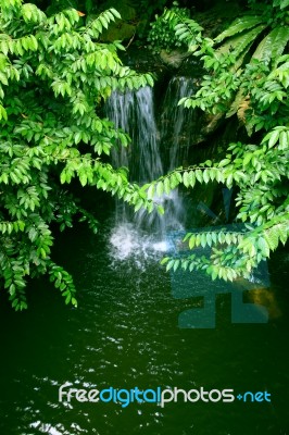 Waterfall Behind Tree Branch Stock Photo