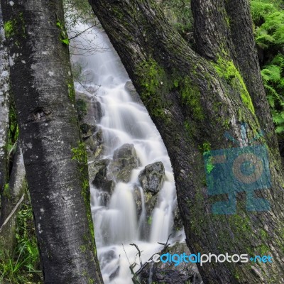 Waterfall In Cradle Mountain Stock Photo