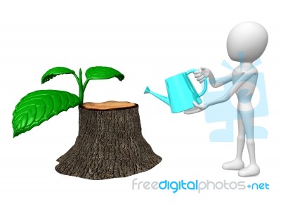 Watering Stump Stock Photo Watering Stump Stock Photo