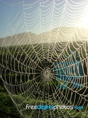 Web Stock Photo Web Stock Photo